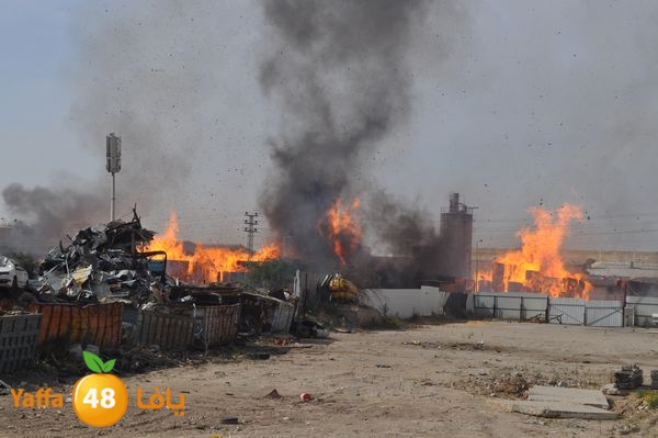 fireludkartoonmasna34 (13).JPG